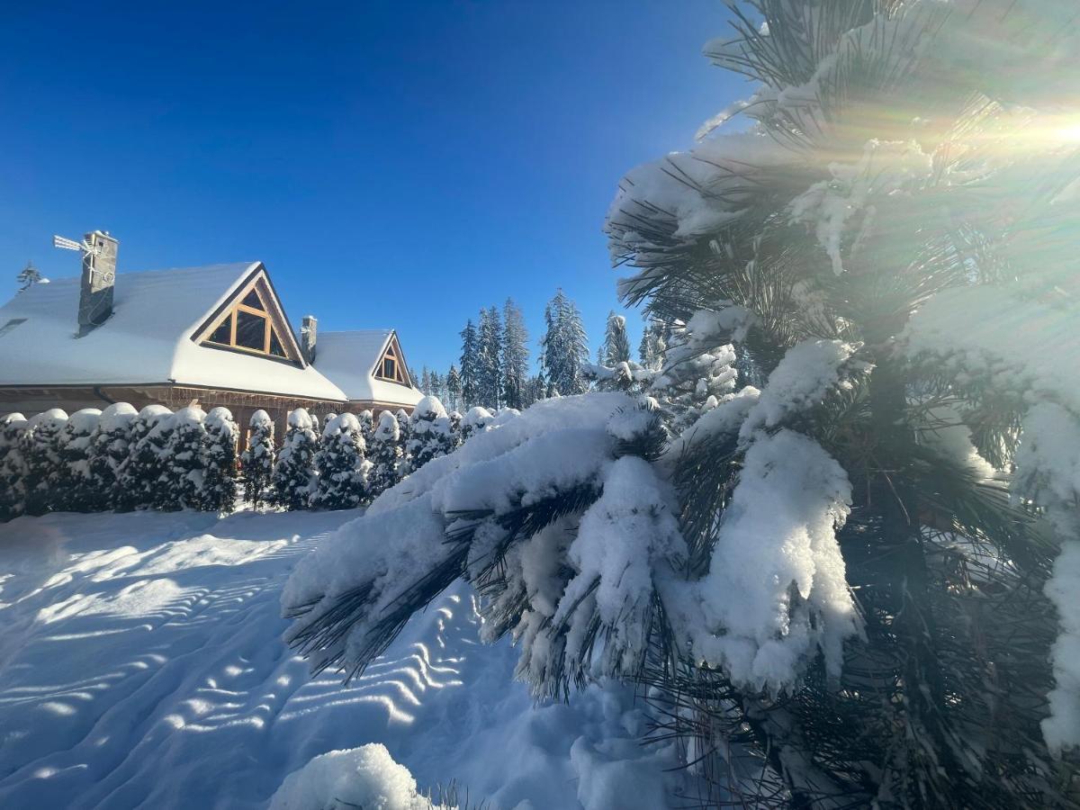 Vila Osada Podrazowka Zakopane Exteriér fotografie