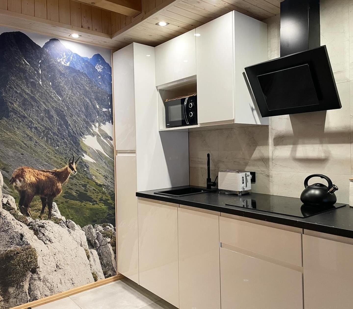 Vila Osada Podrazowka Zakopane Exteriér fotografie